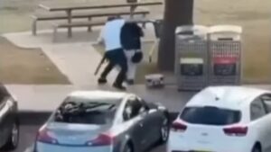 Held op Bondi Beach: Hoe een Australische winkelier een schutter tot held maakte