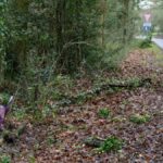 Hoe een tragisch ongeluk met een Tesla-taxi in Surrey jongeren het leven kostte