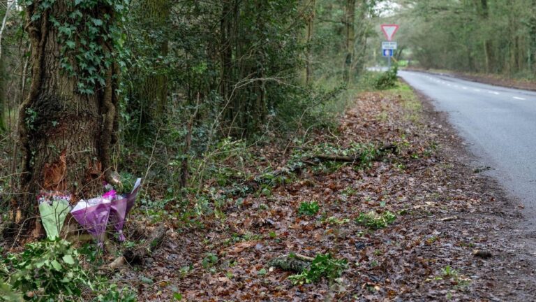 Hoe een tragisch ongeluk met een Tesla-taxi in Surrey jongeren het leven kostte