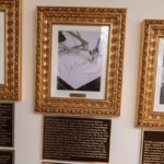 Nieuwe plaquettes in het Witte Huis bekritiseren voormalig presidenten