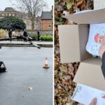 Ontdekking van een gevaarlijke pakket: Een robot opgeroepen om een parlementaire crisis te voorkomen