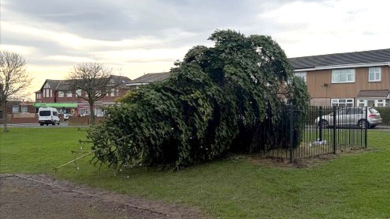 Onverwacht einde van de kerstboom: vandalisme in Shotton Colliery