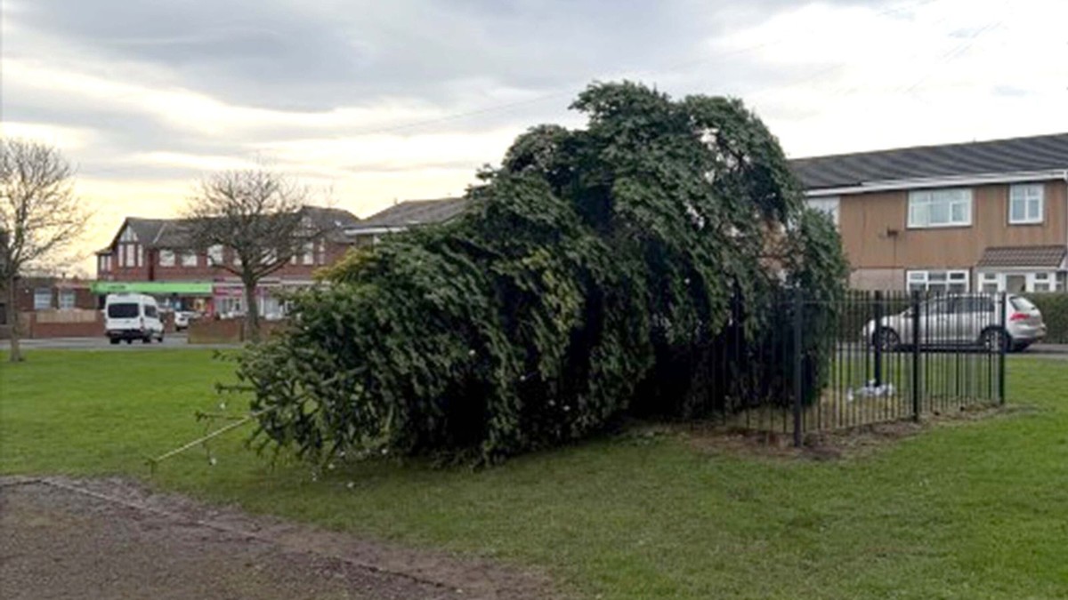 Onverwacht einde van de kerstboom: vandalisme in Shotton Colliery