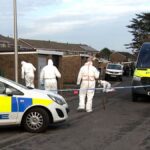 Tiener aangeklaagd voor de moord op negenjarig meisje: identiteit van het slachtoffer bekendgemaakt