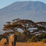 Vijf slachtoffers bij helikopterongeluk op de Kilimanjaro, Afrika’s hoogste berg