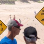 Surfer overleefde de vierde haaiaanslag in Sydney binnen drie dagen