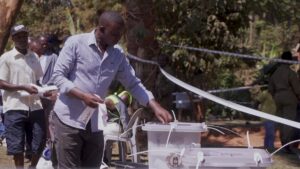 Verkiezingen in Uganda: Een strijd tussen popster-politicus Bobi Wine en langdurige president Museveni